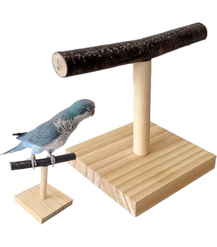 Amazon | 卓上鳥プレイスタンド、木製鳥止まり木プラットフォーム