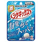 味覚糖 激 シゲキックス 極刺激 ソーダ 20g×160袋 (10×16) ケース販売