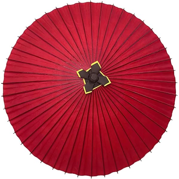 Amazon | [AiO JAPAN] 傘 和傘 赤 レッド 花と蝶 日傘専用 和風