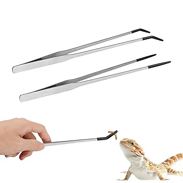 Amazon.co.jp 売れ筋ランキング: 爬虫類・両生類用餌入れ・ボウル の中