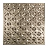 Fasade簡単インストールリングつや消しニッケルLay in天井タイル/天井パネル( 2 ' x 2 'タイル)