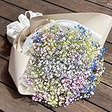 かすみ草 花束 カスミソウ ブーケ 花束 かすみ草 レインボー かすみそうのブーケ 生花