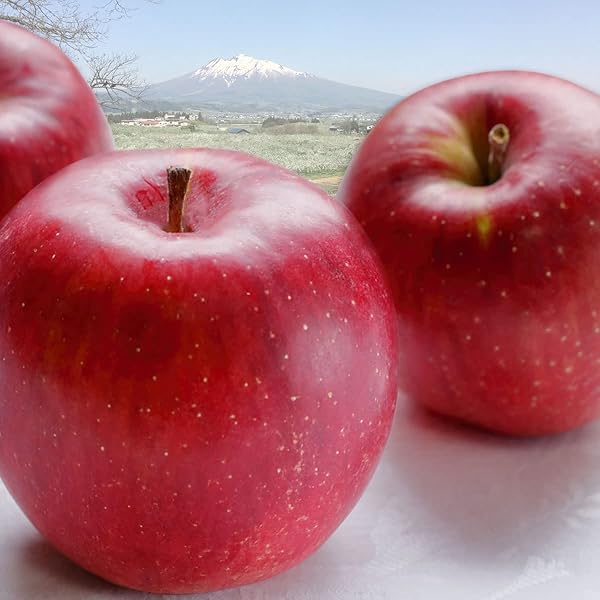 Amazon.co.jp: 2025年産 青森県産りんご 贈答用 星の金貨 超希少