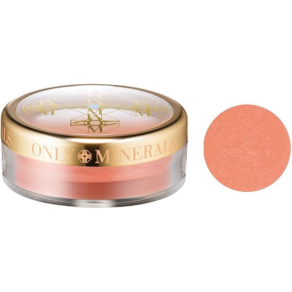 YA-MAN オンリーミネラル　ファンデーション　チーク　ブラシ ブラッシュ | ミネラルファンデーション『オンリーミネラル