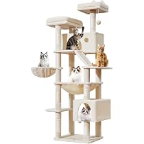 Amazon | Taoqimiao キャットタワー 高さ180cm 大型猫用 多頭飼い対応