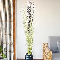 ハンモックさん 天然木とガラスのオブジェSQBL2 花瓶 フラワーベース ハンモックさん様専用 天然木とガラスのオブジェSQBL2 花瓶