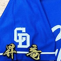 Amazon.co.jp: 中日ドラゴンズ 刺繍ワッペン 立浪 和義 応援歌