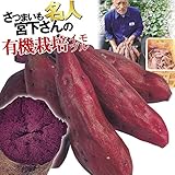 国華園　さつまいも苗イモヅル　宮下さんの種子島紫イモヅル　25本【※発送が国華園からの場合のみ正規品です】
