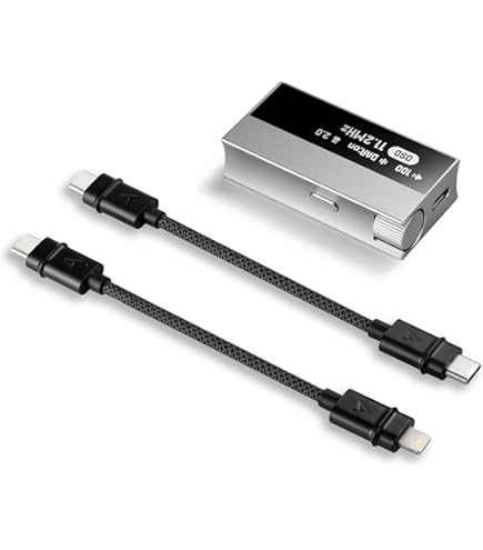 Amazon.co.jp: STAX スタックス SRM-D10 DAC搭載型イヤースピーカー 