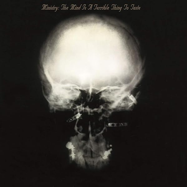MINISTRY FILTH PIG Analog レコード　ミニストリー Amazon.co.jp: Filth Pig: ミュージック