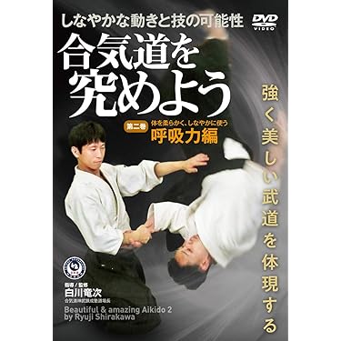 大東流 合気神伝 DVD 1巻 2巻セット DVD 合気の原型