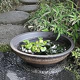 信楽焼 16号荒土ソリ型すいれん鉢 睡蓮鉢 スイレン鉢 金魚鉢 水鉢 陶器 su-0094