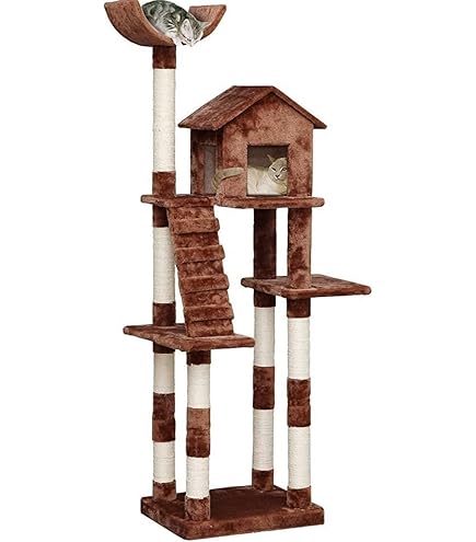 Amazon | キャットランド CLD-240B ブラウン アイリスオーヤマ