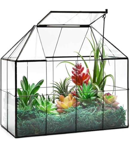 Amazon.co.jp: D'Ecoガラス温室センターピース(10x4.5x9) - 春のホーム