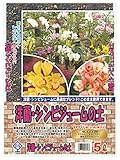 大宮グリーンサービス 洋ラン・シンビジュームの土 5L