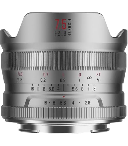 Amazon.co.jp: TTArtisan 11mm F2.8 単焦点レンズ 魚眼レンズ (L