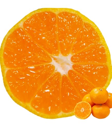 Amazon.co.jp: 【予約受付中】愛果28号＝紅まどんな（愛媛県産）｜甘