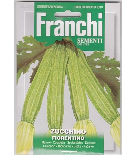 【ズッキーニ】 Amazon | グリーンエッグ 神田育種農場のズッキーニの種です | 野菜