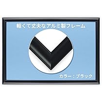 *【フレーム】フレーム　３セット 3way ましかくフレーム [M便 NG] [K]の通販 | SWANY Online Shop