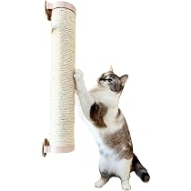 Amazon.co.jp: 【公式】 ieneko ねこの惑星 透明ボウル 猫 ケージ