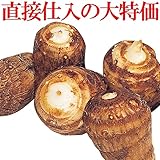 国華園　里いも種芋　白芽里芋　10kg【※発送が国華園からの場合のみ正規品です】