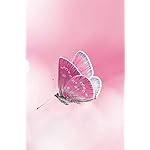 チョウ(蝶) iPhone(640×960)壁紙 Schmetterlinge 2023: Kalender チョウ(蝶) iPhone(640×960)壁紙 Schmetterlinge 2023: Kalender