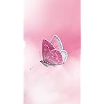 チョウ(蝶) HD(720×1280)壁紙 Schmetterlinge 2023: Kalender チョウ(蝶) HD(720×1280)壁紙 Schmetterlinge 2023: Kalender