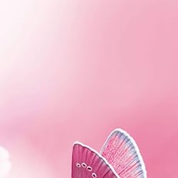 チョウ（蝶）の人気壁紙画像 Schmetterlinge 2023: Kalender