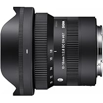 新品　SIGMA シグマ　ソニーE用 レンズ Amazon.co.jp: シグマ(Sigma) SIGMA シグマ Sony Eマウント レンズ 10