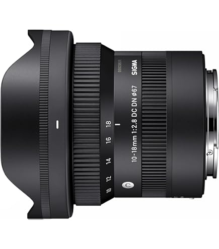 Sony E 11mm F1.8 | APS-C Wide Angle Fixed Focal Lens (SEL11F18