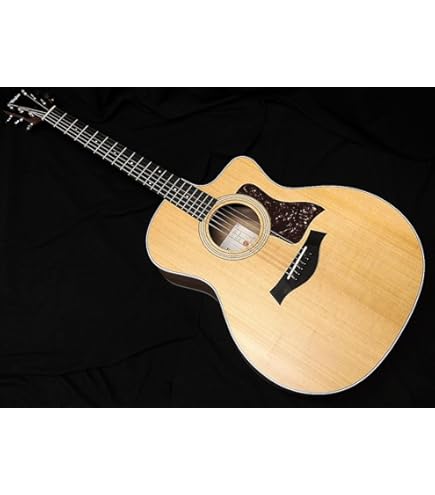 Amazon | Taylor 314ce エレアコギター テイラー | スチール弦