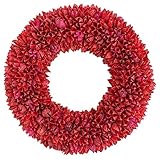 彩か SAIKA 【クリスマス】 リース 赤系 レッド デコレーション 飾り Bloom Berry Wreath S (Red) CXQ-110Mr