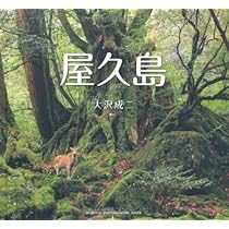 Amazon.co.jp: いのちの森 屋久島 : 奈良崎 高功: 本