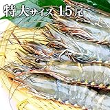 築地魚群 ブラックタイガーエビ有頭（特大サイズ）15尾