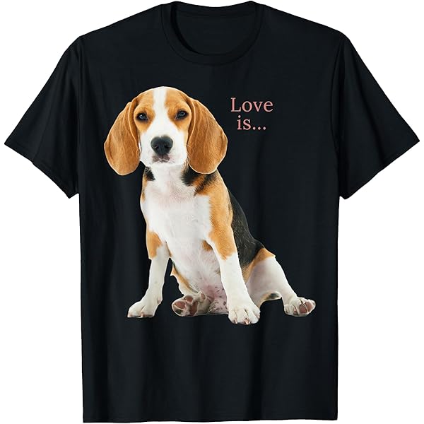 00's THE DOG/ドッグ　ビーグル プリント Tシャツ グレー 00's THE DOG/ドッグ ビーグル プリント Tシャツ グレー