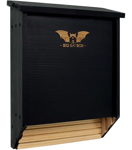 Amazon.co.jp: フクロウハウス フクロウボックス フクロウ