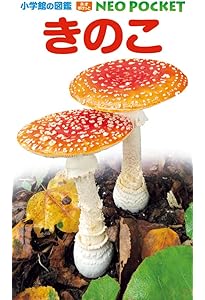 きのこのこのこふしぎのこ (しぜんにタッチ!) | 新井 文彦, 六田 晴洋