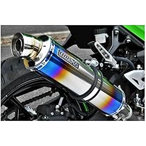 ビームスモーターカンパニー　R-EVO2 S/O カーボンNinja400 51LDrLAjDTL._AC_UL210_SR210,