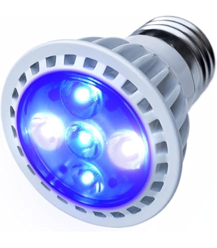 Amazon | ボルクスジャパン グラッシーレディオ RX072 アクア