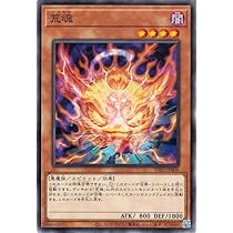 Amazon.co.jp: 遊戯王カード 荒魂(ノーマル) TACTICAL-TRY DECK