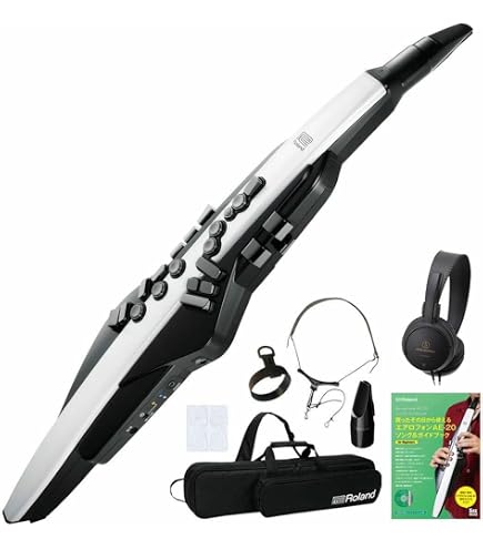 Amazon | Roland/AEROPHONE AE-20 エアロフォン デジタル管楽器