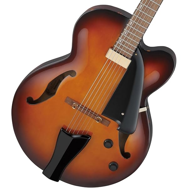 Amazon | Ibanez アイバニーズ Artcoreシリーズ フル・ホロウ・ギター 
