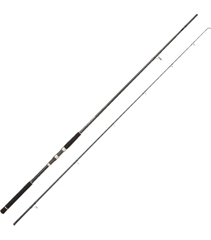 Amazon | アブガルシア(Abu Garcia) ショアジギング ロッド ベイト 