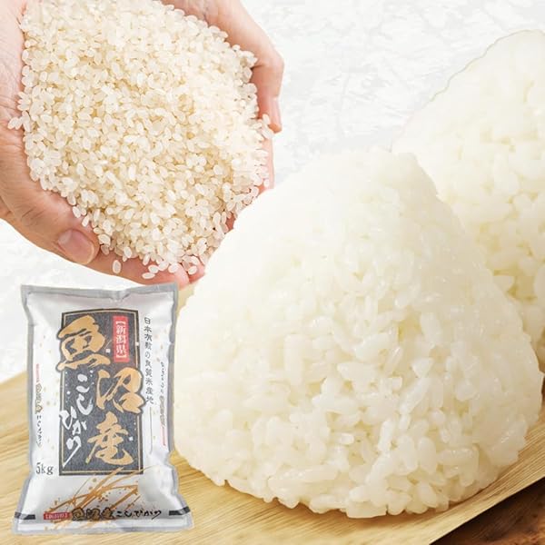 shom　送料込コシヒカリ 匠のお米 コシヒカリ 最短出荷 無洗米 10kg(5kg×2袋) 鮮度保持