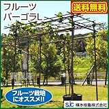 セキスイ フルーツパーゴラL