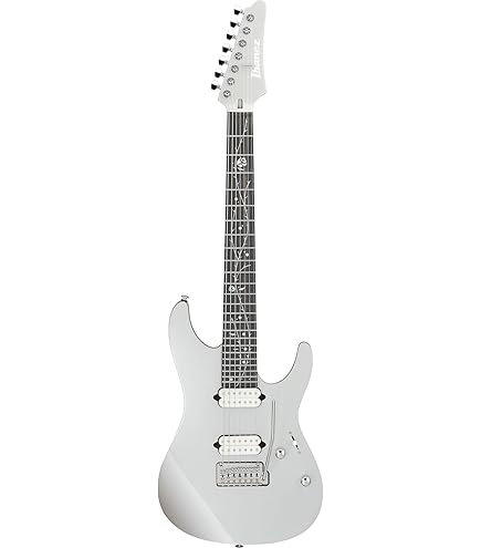 Amazon | SCHECTER (シェクター) 7弦エレキギター C-7 DELUXE SBK 7弦