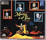 �|���g�̉��~�g���_�[�e*�̌�