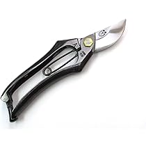 61KvViyuEpL._AC_UL210_SR210,