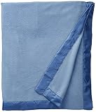 Premier Comfort Micro Fleece Blanket, Full/Queen, Wedgewood