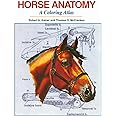 Horse Anatomy: A Coloring Atlas, 2nd Edition